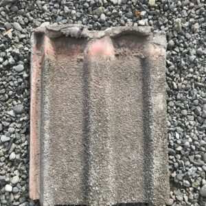 img-3433.jpg Petrous Tile