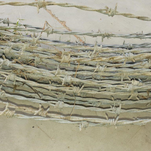 20200113-87579_barb_wire_close_up_002_-1.png Barbed Wire Approx 30m Roll