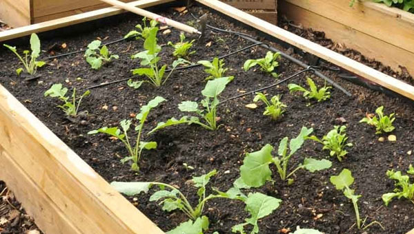 Finished raised bed planter box