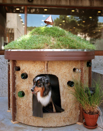 Build a green environmentally-friendly dog house