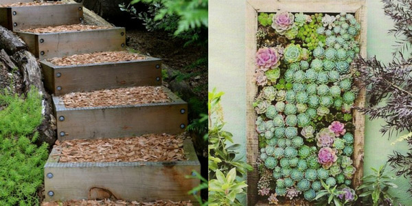 Garden Planter Steps & Succulent Wall