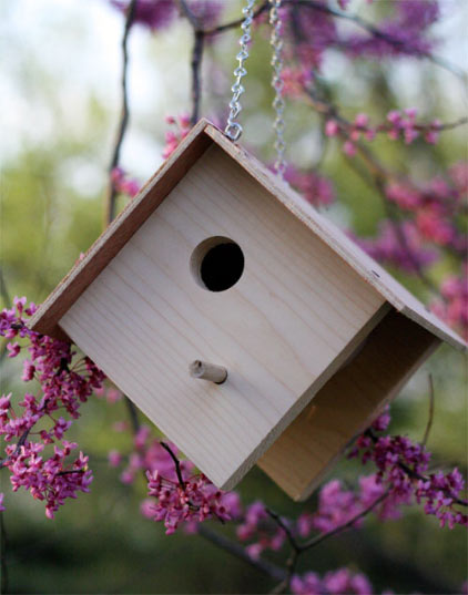 Wooden bird house