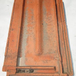 Marseille Turtle Clay Tile
