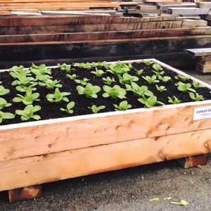 Garden Planter Box - 1800x1200x400mm - Pre-Assembled
