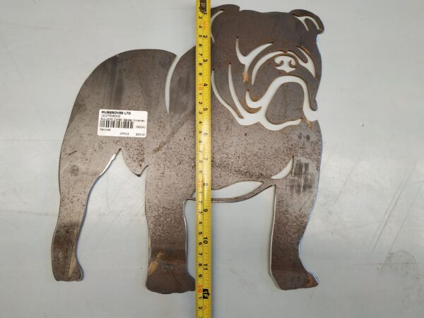 92241 Measured h bulldog