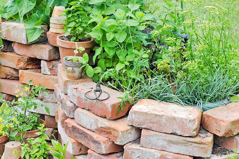 Rustic brick retaining wall