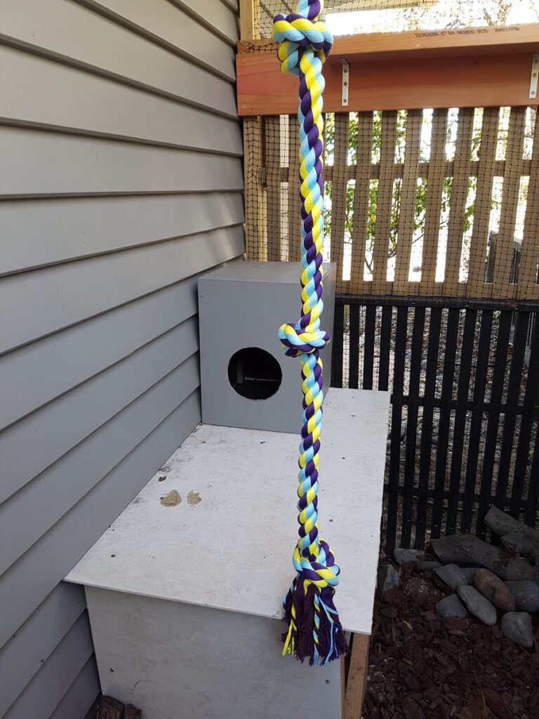 Recycled trellis cat run