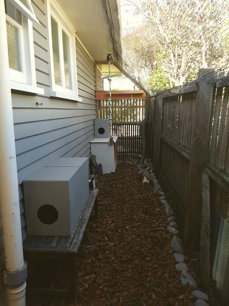 Recycled trellis cat run
