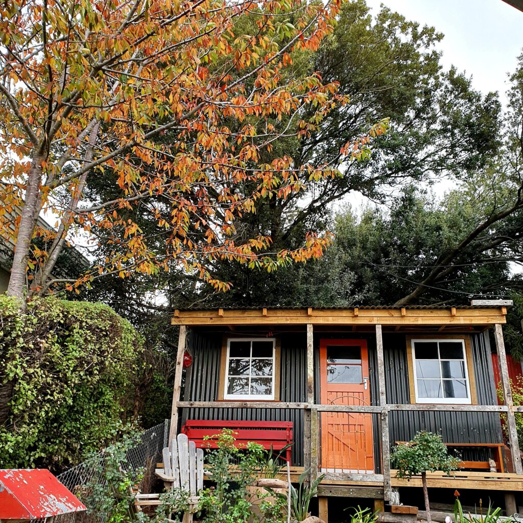 Recycled garden shed with dog on deck