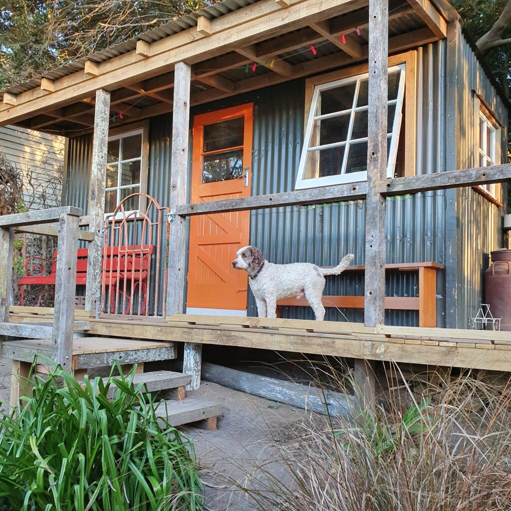Recycled garden shed with dog on deck