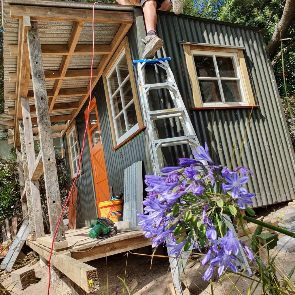 Recycled garden shed with dog on deck