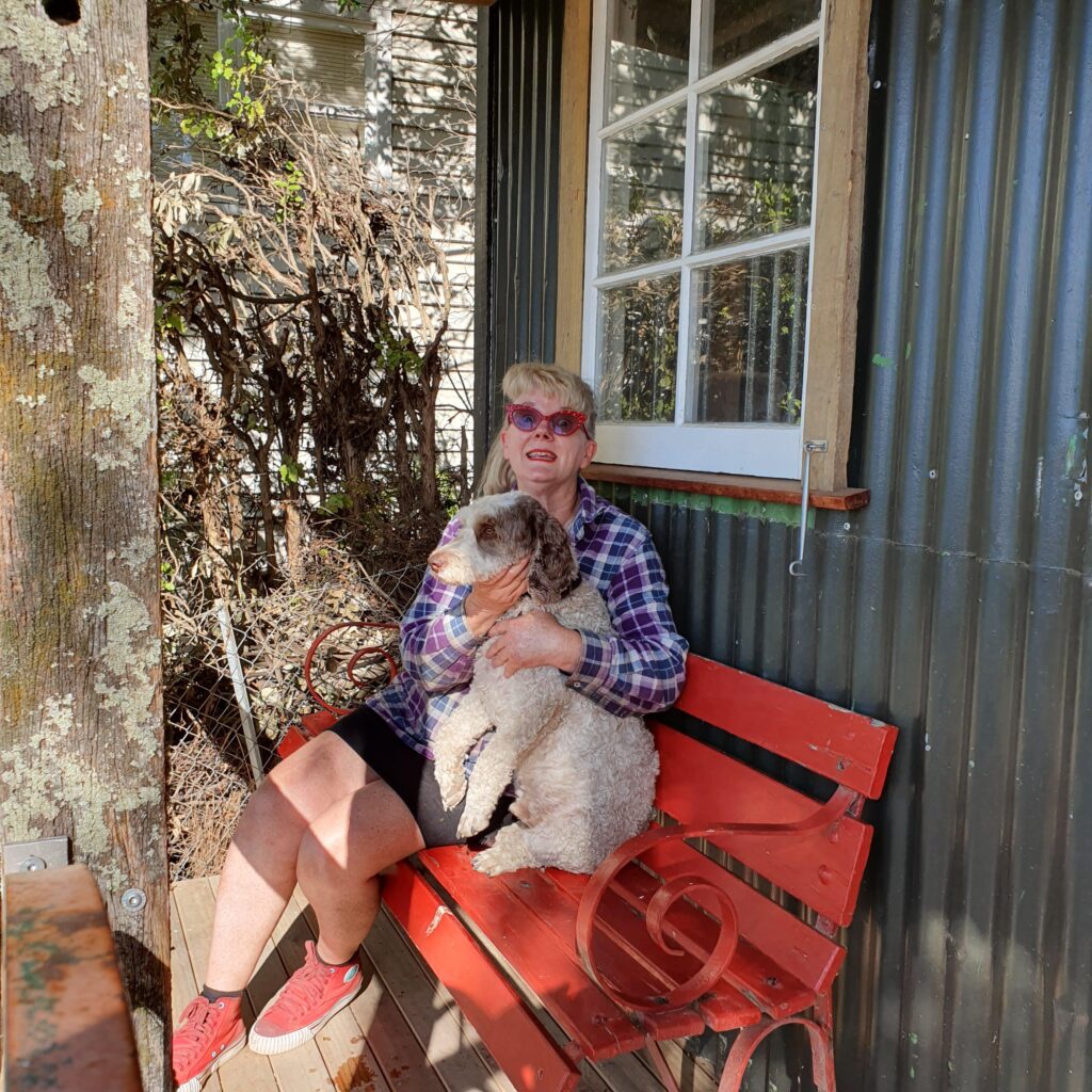Recycled garden shed with dog on deck