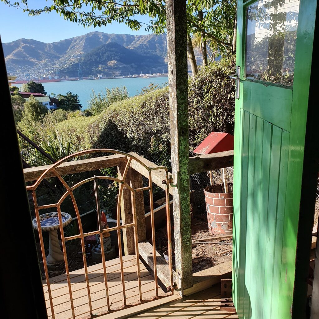 Recycled garden shed with dog on deck