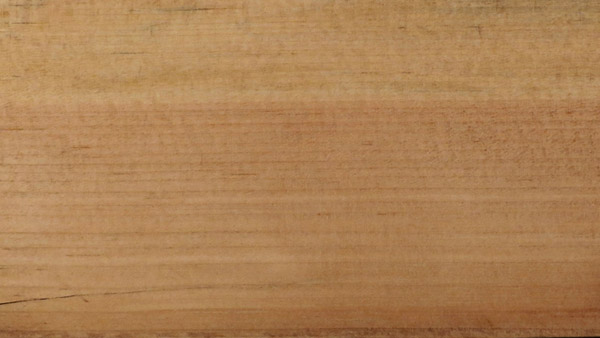 Timber Guide: Mexican pine