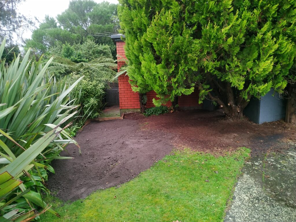 Tree-mendous garden transformation