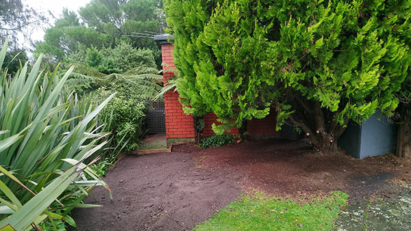Tree-mendous garden transformation