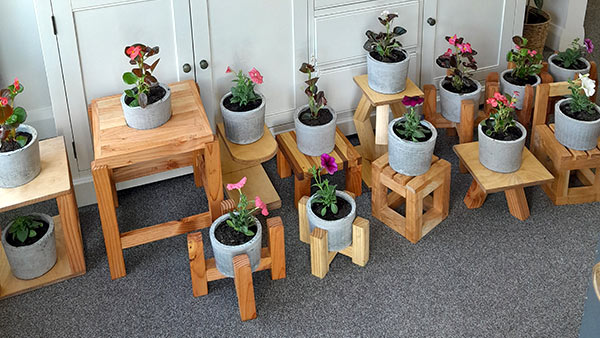 Timber plant stands