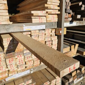 Lawson Cypress 100×25 – 94745 New Lawson Cypress 100x25mm