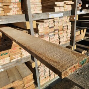 Lawson Cypress 150×25 – 118441 New Lawson Cypress 150x25mm