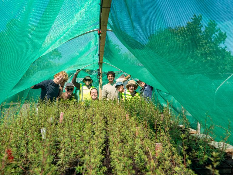 Community Native Plant Nursery