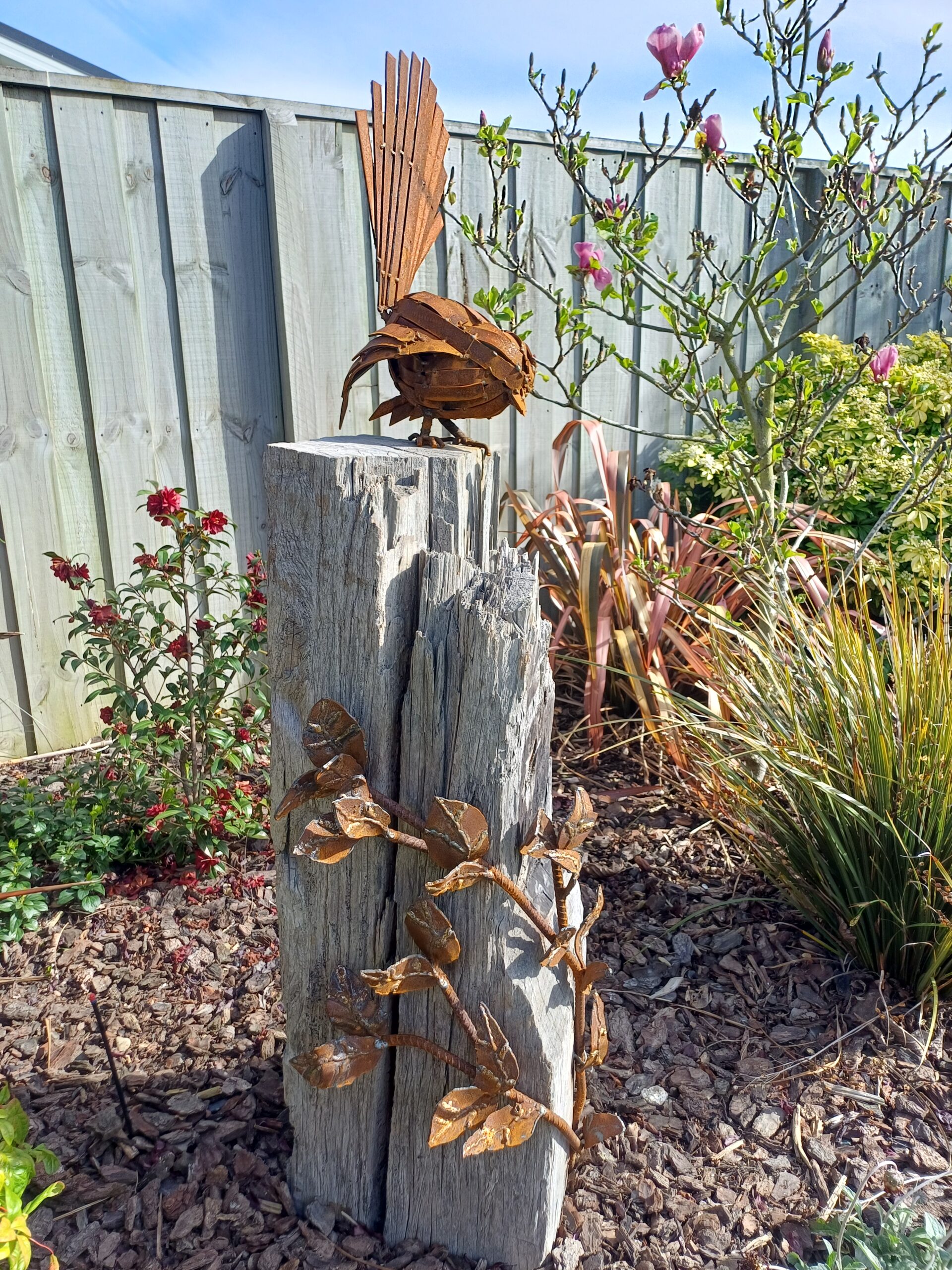 Fantail on reclaimed wood | Musgroves